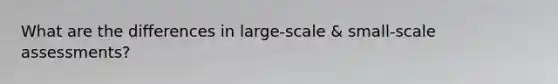 What are the differences in large-scale & small-scale assessments?