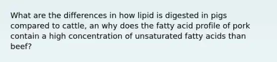 What are the differences in how lipid is digested in pigs compared to cattle, an why does the fatty acid profile of pork contain a high concentration of unsaturated fatty acids than beef?