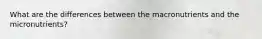 What are the differences between the macronutrients and the micronutrients?