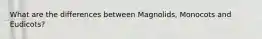 What are the differences between Magnolids, Monocots and Eudicots?