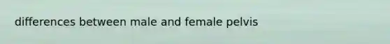 differences between male and female pelvis