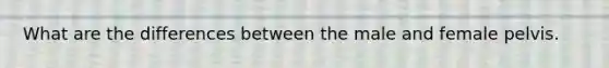 What are the differences between the male and female pelvis.