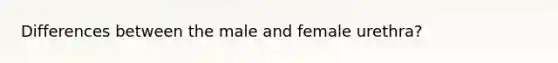 Differences between the male and female urethra?