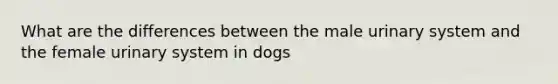 What are the differences between the male urinary system and the female urinary system in dogs