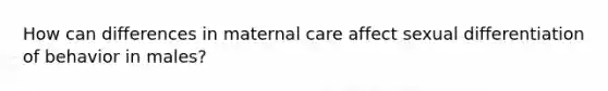 How can differences in maternal care affect sexual differentiation of behavior in males?