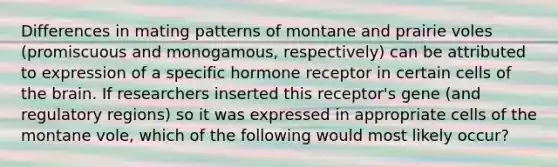 Differences in mating patterns of montane and prairie voles (promiscuous and monogamous, respectively) can be attributed to expression of a specific hormone receptor in certain cells of the brain. If researchers inserted this receptor's gene (and regulatory regions) so it was expressed in appropriate cells of the montane vole, which of the following would most likely occur?