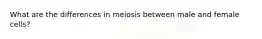What are the differences in meiosis between male and female cells?