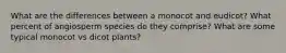 What are the differences between a monocot and eudicot? What percent of angiosperm species do they comprise? What are some typical monocot vs dicot plants?