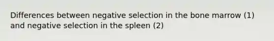 Differences between negative selection in the bone marrow (1) and negative selection in the spleen (2)