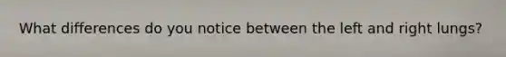 What differences do you notice between the left and right lungs?