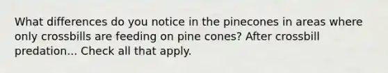 What differences do you notice in the pinecones in areas where only crossbills are feeding on pine cones? After crossbill predation... Check all that apply.