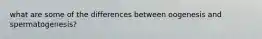 what are some of the differences between oogenesis and spermatogenesis?