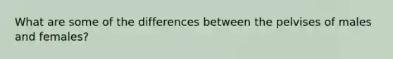 What are some of the differences between the pelvises of males and females?