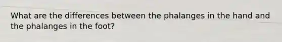 What are the differences between the phalanges in the hand and the phalanges in the foot?