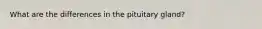 What are the differences in the pituitary gland?