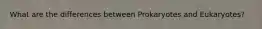 What are the differences between Prokaryotes and Eukaryotes?
