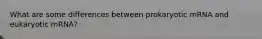What are some differences between prokaryotic mRNA and eukaryotic mRNA?