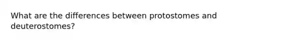 What are the differences between protostomes and deuterostomes?