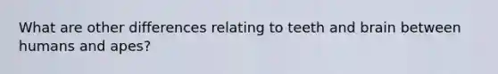 What are other differences relating to teeth and brain between humans and apes?