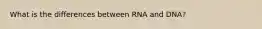 What is the differences between RNA and DNA?