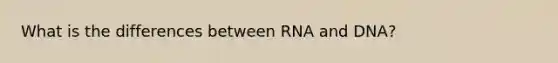 What is the differences between RNA and DNA?