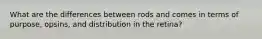 What are the differences between rods and comes in terms of purpose, opsins, and distribution in the retina?