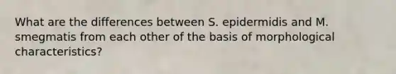 What are the differences between S. epidermidis and M. smegmatis from each other of the basis of morphological characteristics?