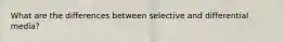What are the differences between selective and differential media?
