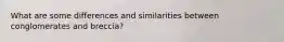 What are some differences and similarities between conglomerates and breccia?