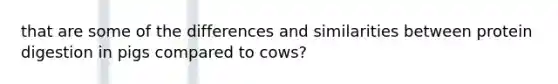 that are some of the differences and similarities between protein digestion in pigs compared to cows?