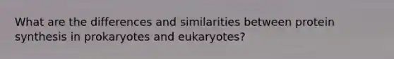 What are the differences and similarities between protein synthesis in prokaryotes and eukaryotes?