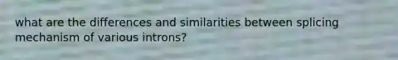 what are the differences and similarities between splicing mechanism of various introns?