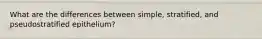 What are the differences between simple, stratified, and pseudostratified epithelium?