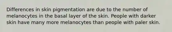 Differences in skin pigmentation are due to the number of melanocytes in the basal layer of the skin. People with darker skin have many more melanocytes than people with paler skin.