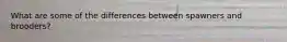 What are some of the differences between spawners and brooders?