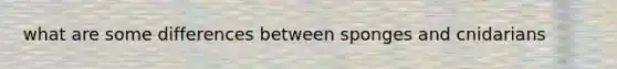 what are some differences between sponges and cnidarians