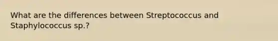 What are the differences between Streptococcus and Staphylococcus sp.?