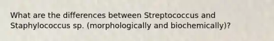 What are the differences between Streptococcus and Staphylococcus sp. (morphologically and biochemically)?