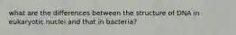 what are the differences between the structure of DNA in eukaryotic nuclei and that in bacteria?