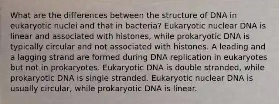 What are the differences between the structure of DNA in eukaryotic nuclei and that in bacteria? Eukaryotic nuclear DNA is linear and associated with histones, while prokaryotic DNA is typically circular and not associated with histones. A leading and a lagging strand are formed during DNA replication in eukaryotes but not in prokaryotes. Eukaryotic DNA is double stranded, while prokaryotic DNA is single stranded. Eukaryotic nuclear DNA is usually circular, while prokaryotic DNA is linear.