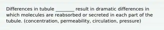 Differences in tubule ________ result in dramatic differences in which molecules are reabsorbed or secreted in each part of the tubule. (concentration, permeability, circulation, pressure)