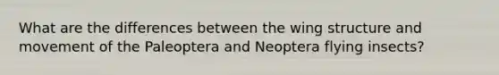 What are the differences between the wing structure and movement of the Paleoptera and Neoptera flying insects?