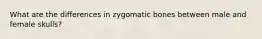 What are the differences in zygomatic bones between male and female skulls?