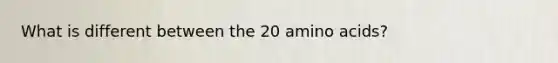 What is different between the 20 amino acids?