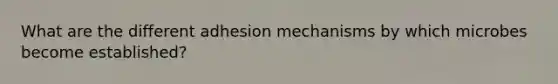 What are the different adhesion mechanisms by which microbes become established?