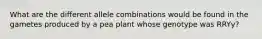 What are the different allele combinations would be found in the gametes produced by a pea plant whose genotype was RRYy?