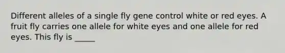 Different alleles of a single fly gene control white or red eyes. A fruit fly carries one allele for white eyes and one allele for red eyes. This fly is _____