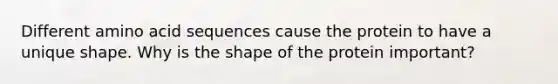 Different amino acid sequences cause the protein to have a unique shape. Why is the shape of the protein important?