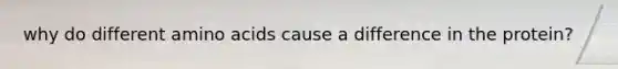 why do different amino acids cause a difference in the protein?
