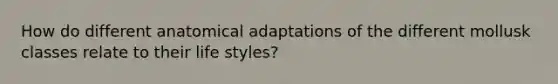 How do different anatomical adaptations of the different mollusk classes relate to their life styles?